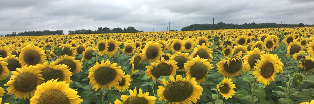 Kjersten_W's profile banner image
