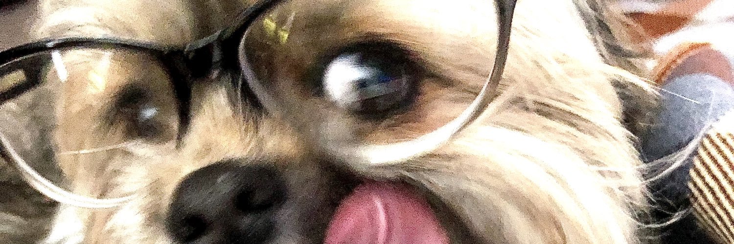rinarisper's profile banner image