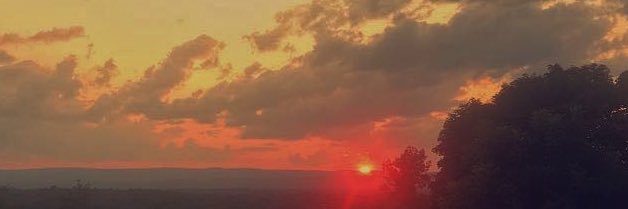 AbbyPandolfi's profile banner image