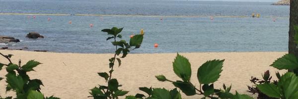 ashleimayadia Profile Banner