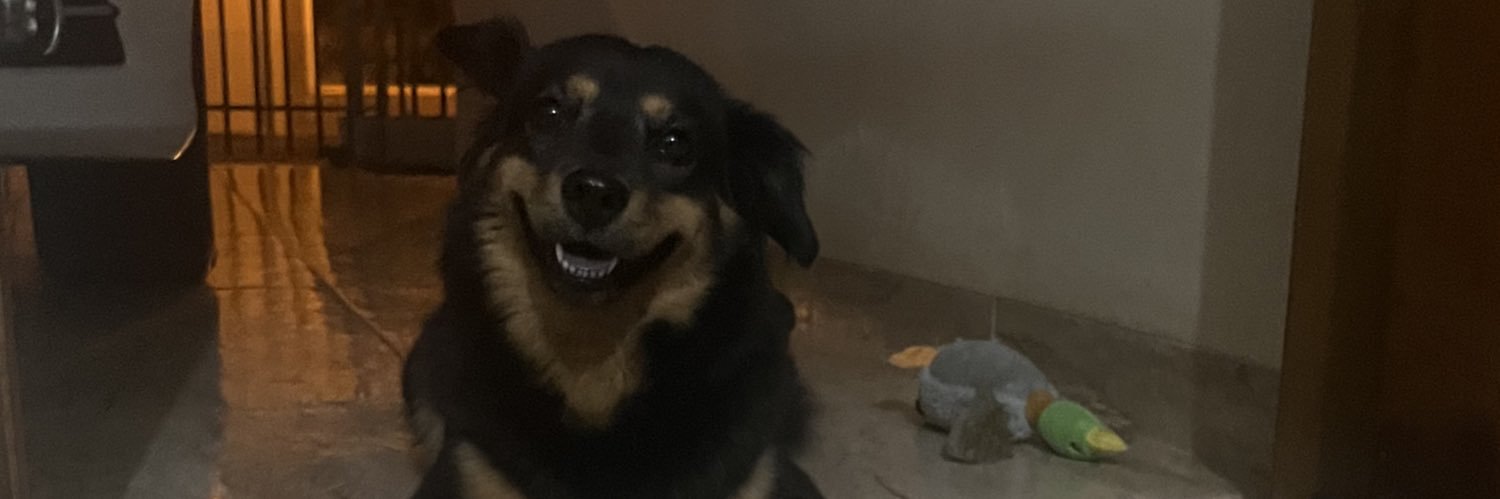 rafasabin0's profile banner image
