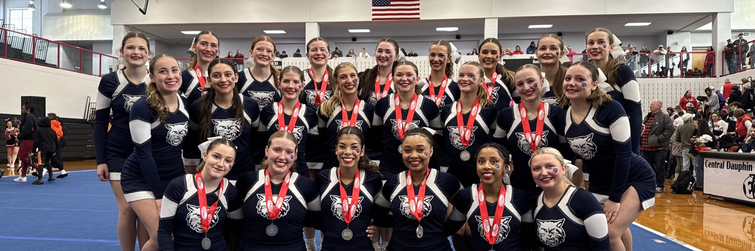 Dallastown Cheer banner