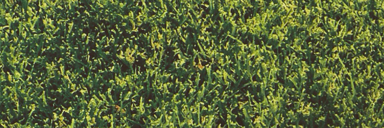 Coronabaseball's profile banner image