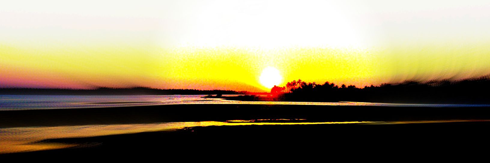 mdmarzook's profile banner image