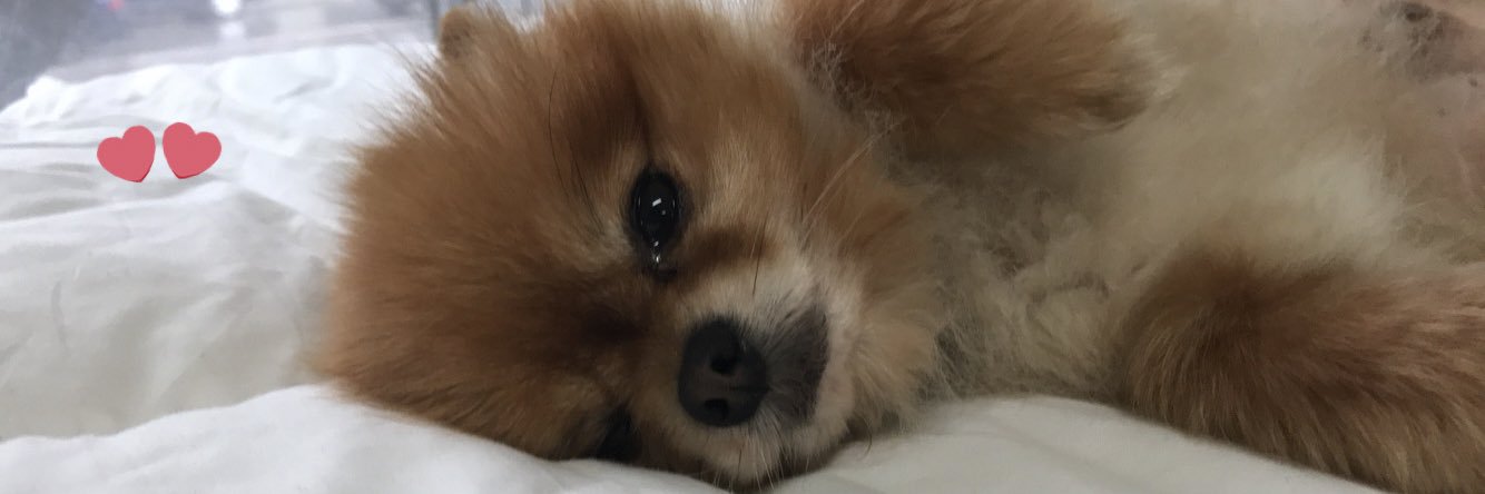 angelfalbo's profile banner image