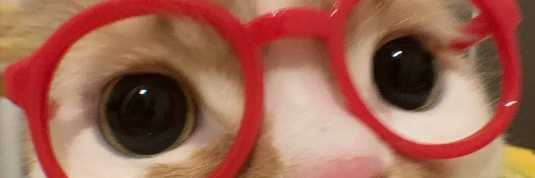 ElsaRodriguezR's profile banner image