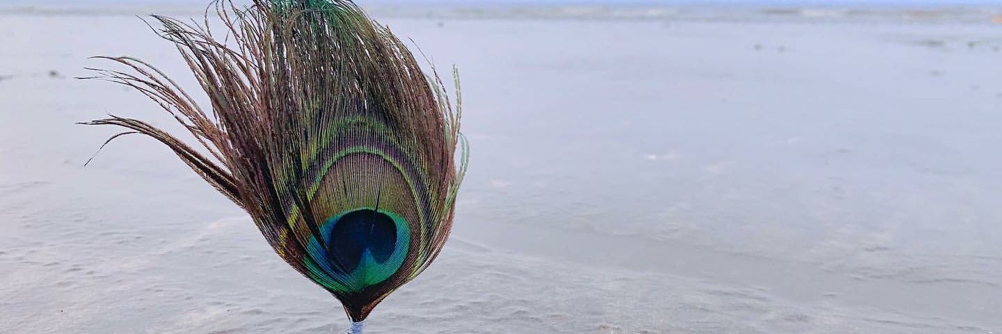 nitupriyadarsh1's profile banner image
