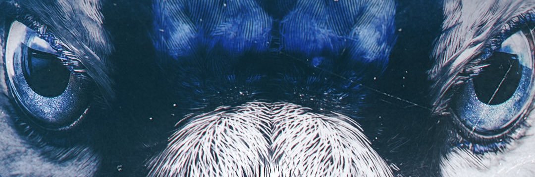 Drayden00's profile banner image
