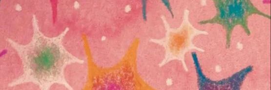AinhoaSanchezG's profile banner image