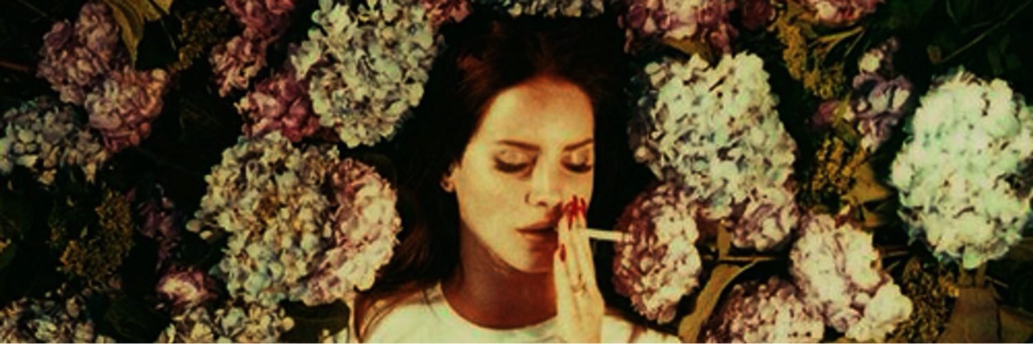 grace_rayfield's profile banner image