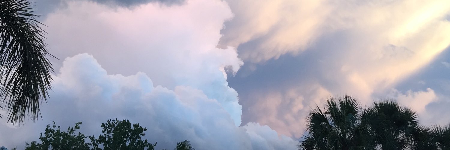 kellylaschh's profile banner image