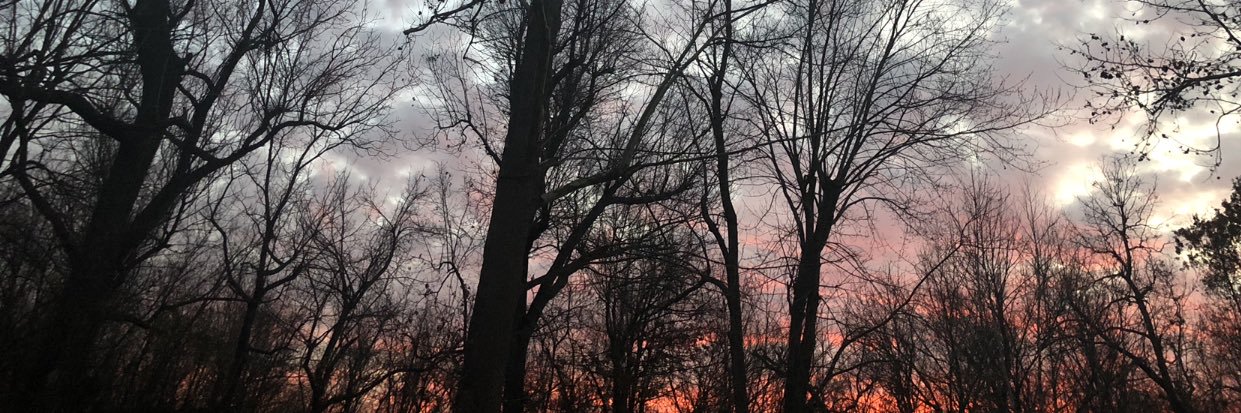 _annaabell's profile banner image