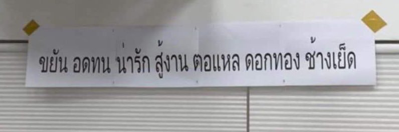 Jantanee Pantarose or Just Call me “Ploy” banner