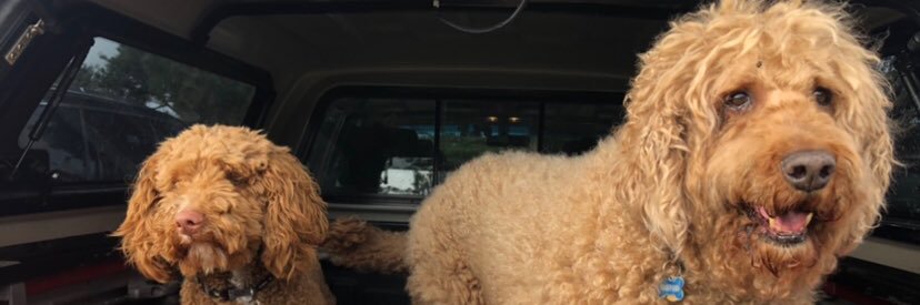 vanhug's profile banner image