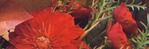 Kanamon121's profile banner image