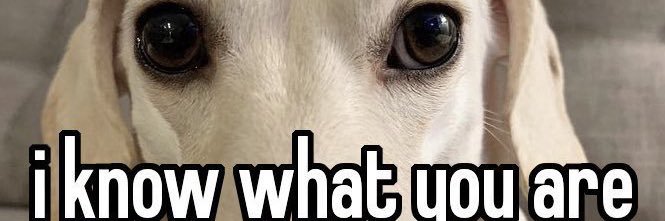 ryan 🇮🇪 banner