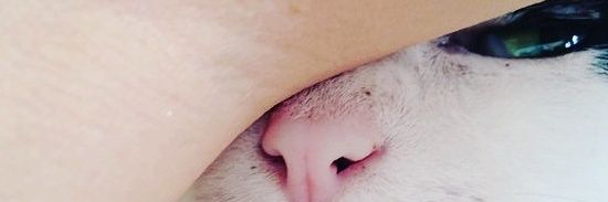 mprkust's profile banner image
