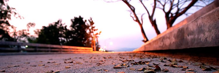 Dew_napatsorn's profile banner image
