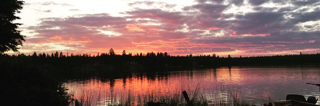 mattdalgleish__'s profile banner image