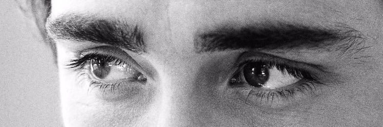 Lee Pace Fans Network banner