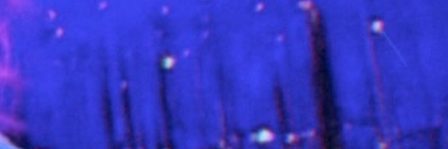 iamsambruno's profile banner image