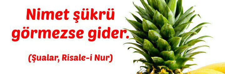 ibrahimzbalk's profile banner image