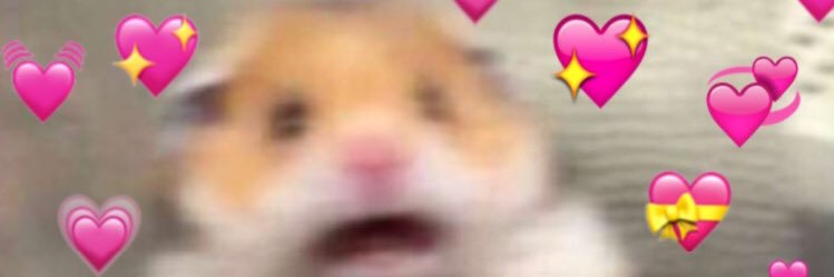 GLAMBERTROSE's profile banner image