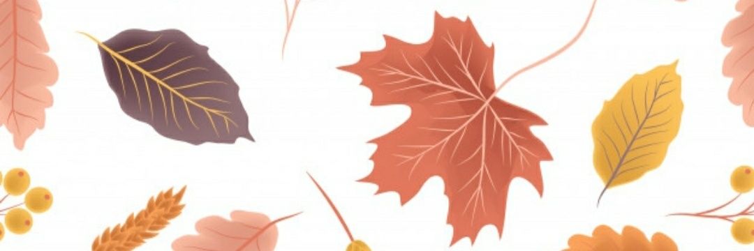 Albita__Lopez's profile banner image