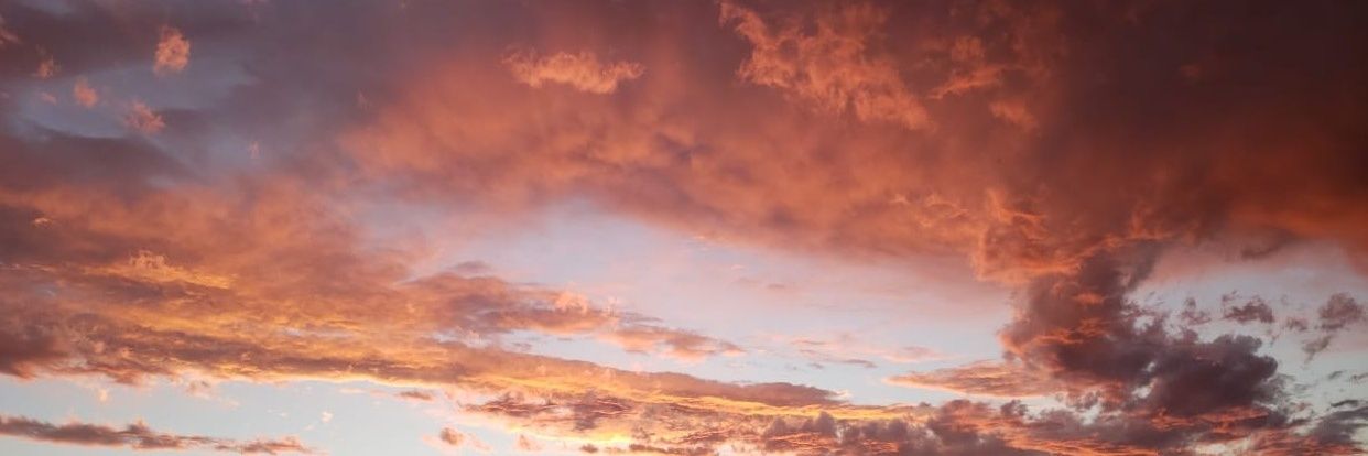 micadepaoloc's profile banner image