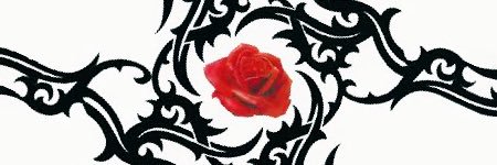 jfd111111's profile banner image