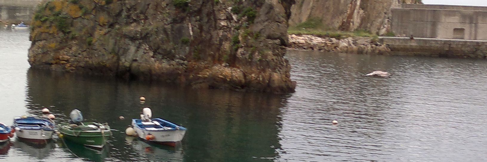 BaliJurado's profile banner image