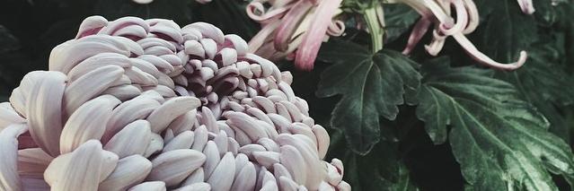 _katrinamiranda's profile banner image