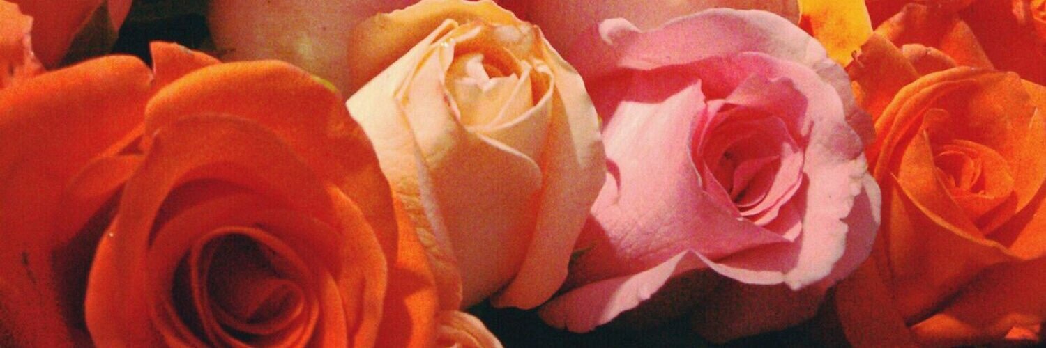 asofiaocampo's profile banner image