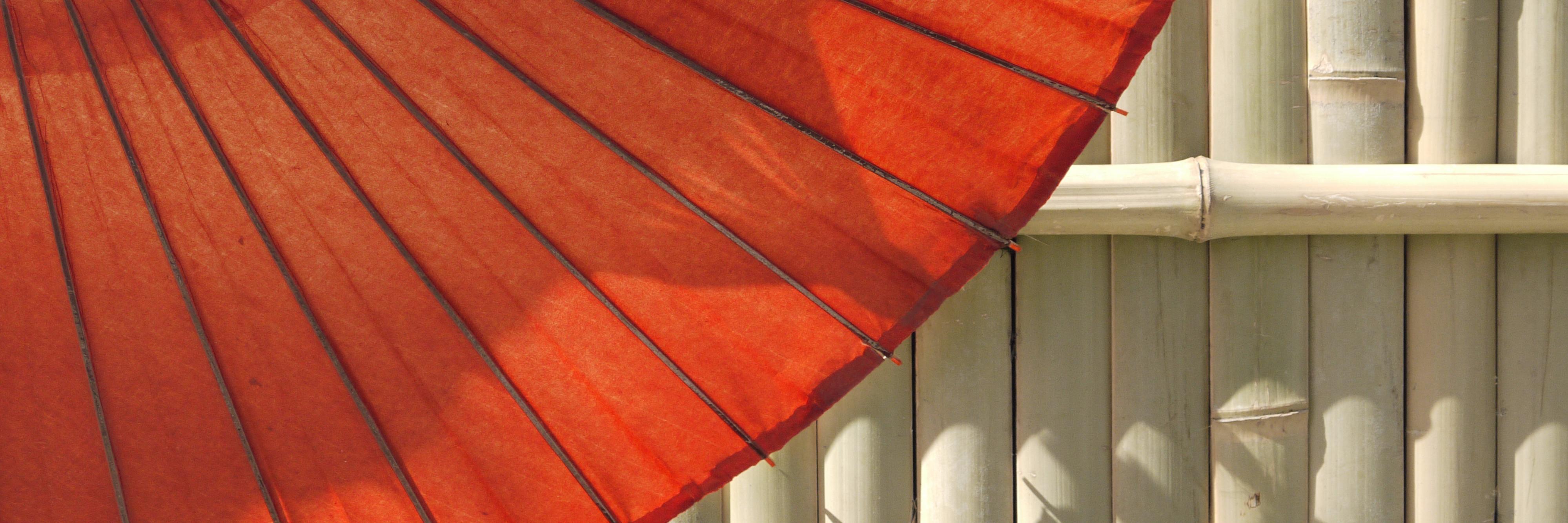beth_noble1's profile banner image