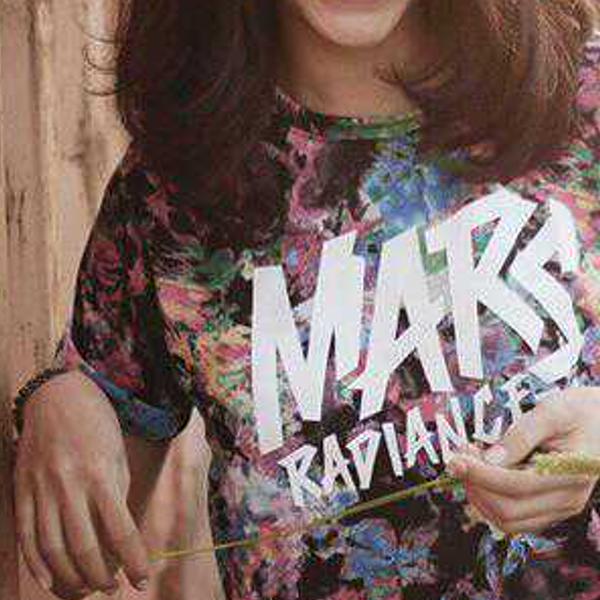 Mars Society Project banner