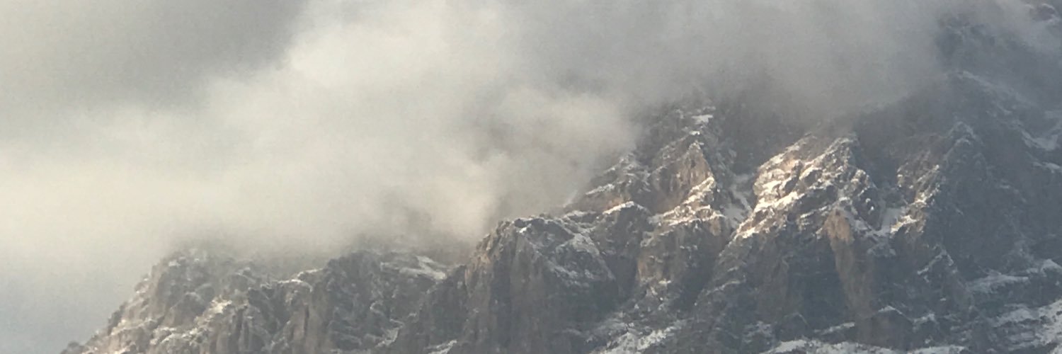 shojaei8's profile banner image