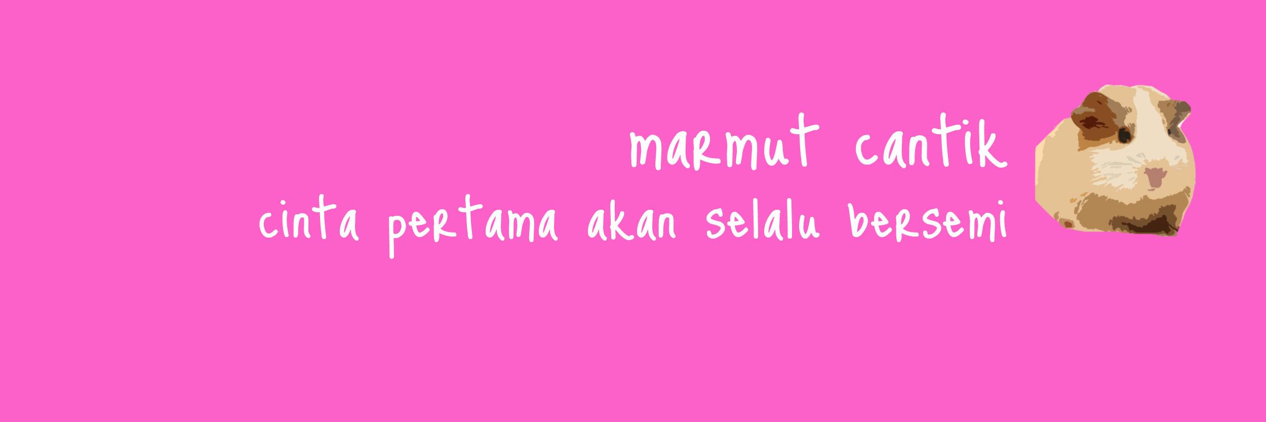 marmutcantik's profile banner image