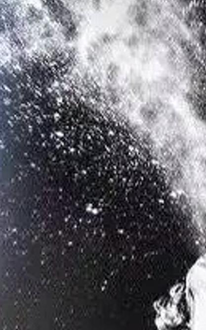 alyzacupcake's profile banner image