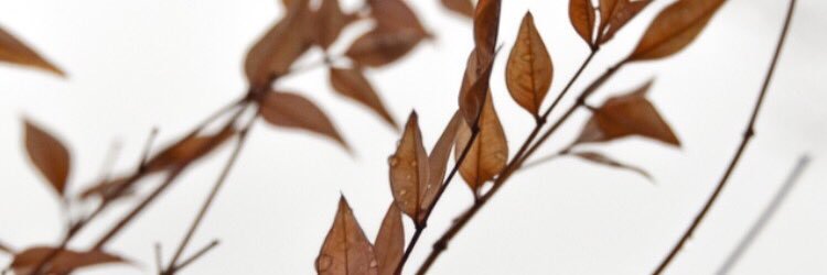 David_The2nd's profile banner image