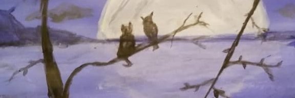 St4rzyyy's profile banner image