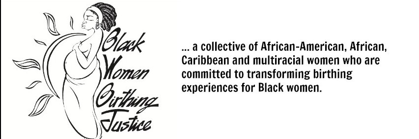 Birthing Justice banner