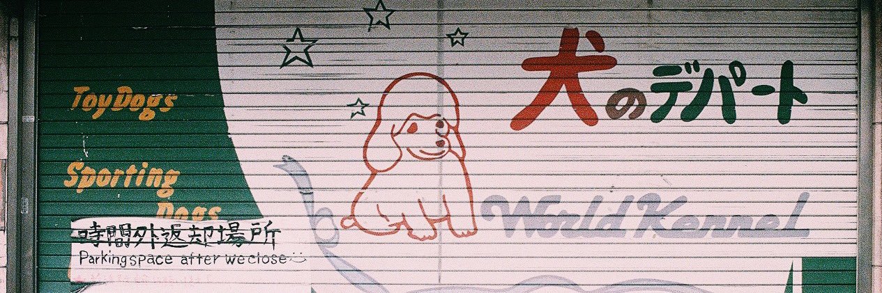 odmishien's profile banner image