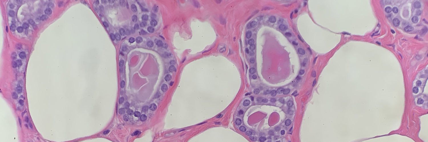 Pathologista's profile banner image