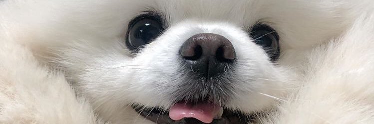 way__yo's profile banner image