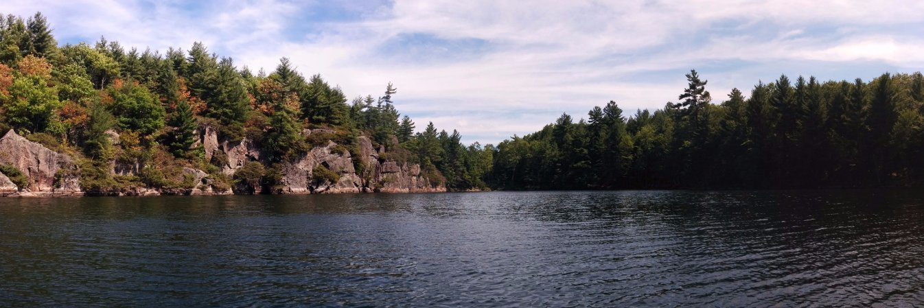 Monika Schmidt banner