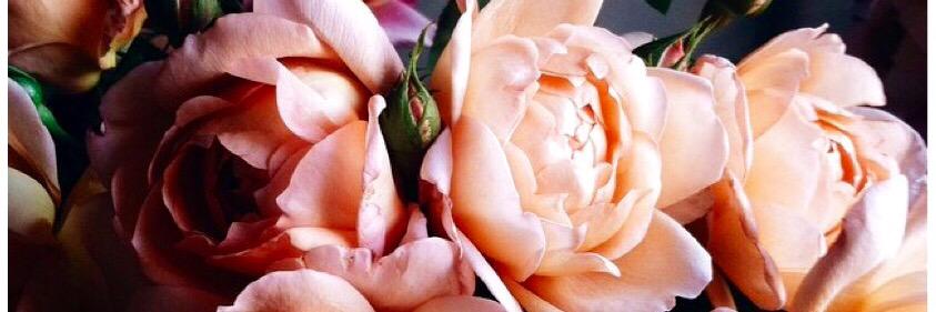 DaniMo3461's profile banner image