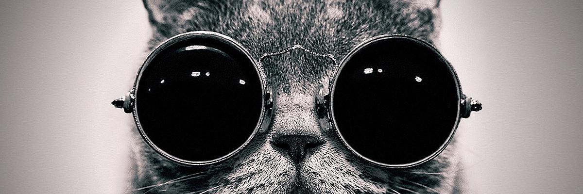 EllieKateGrew's profile banner image
