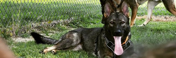 TheBoShow909 Profile Banner