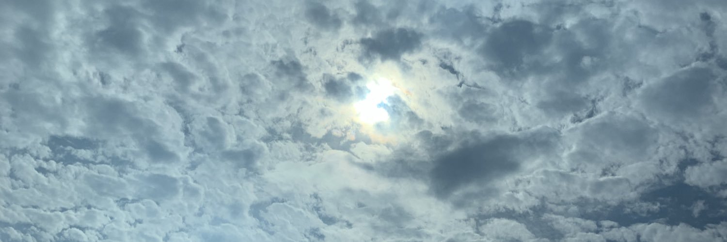 oNEKOSAM4's profile banner image