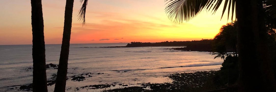 Nicel Solano P. banner